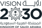 Saudi Vision 2030 image